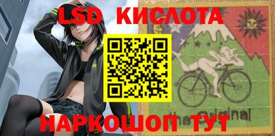 гашик Камышлов