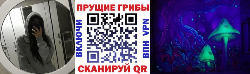 Галлюциногенные грибы GOLDEN TEACHER  Избербаш 