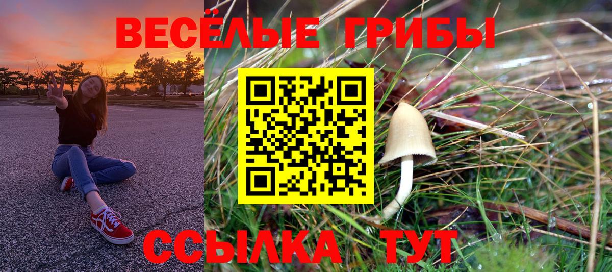 Псилоцибиновые грибы мухоморы  Псилоцибиновые грибы мицелий  Вход с VPN  Избербаш 